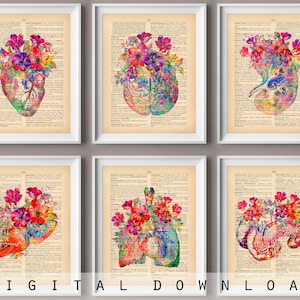 6 Vintage anatomy decor, Medical dictionary, Watercolor anatomy, Medical art, Anatomy and flower, Human organ drawing, Medical artwork gift