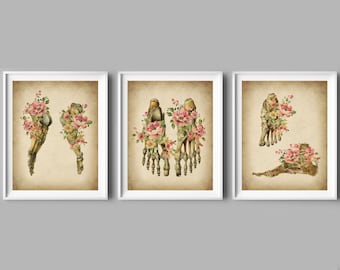 Láminas artísticas vintage de huesos del pie: decoración de anatomía médica (juego de 3)