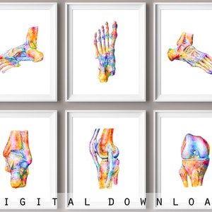 Voet Anatomie Kunst EnkelGewricht Hiel Poster Voet Botten Grafiek Podotherapeut Gift Medisch Decor Chiropractie Kliniek Wall Art Surgeon Office Decor