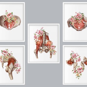 Bassin féminin et fleurs Art aquarelle dessin anatomie oeuvre médicale os squelettique affiche schéma du système musculo-squelettique décoration murale