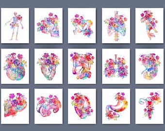 6つの解剖学的装飾、ビンテージの医療図面、花の解剖学的アート