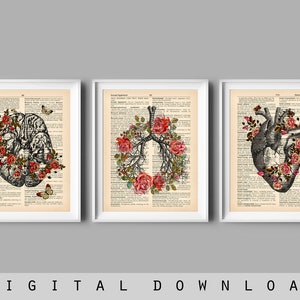Vintage Anatomy Art Prints: Floral Organ Decor (Digital Download)