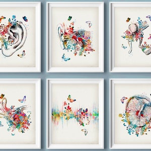 6 Vintage Ear Anatomy Art Medical Art Audiology Art Inner Ear Structure Cochlea Art Ossicles Art Audiologist Gift Ear Doctor Gift