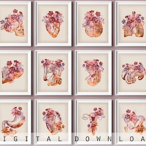 12 Watercolor Anatomy Art Vintage Anatomy Decor Medical Poster Anatomical Organ Printable Heart and Flowers Art Doctor Office Gift Digital