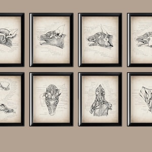 8 Dog Head and Neck Anatomy Art Veterinary Poster Canine Physiology Art Animal Anatomy Art Mammal Anatomy Vet Clinic Decor Biology Art