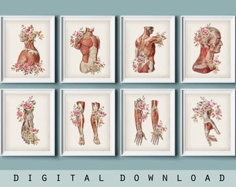 Set 8 Vintage Illustrations of Human Anatomy Medical Decor Muscles of Body Poster Watercolor Drawing Gift for Doctor Clinic Art Digital