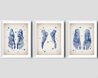 Set Di 3 Tele Quadro Con Stampa Acquerello – Scheletro Di Piede, Anatomia, Decorazione Murale Per Studio Medico, 30x40 Cm - 3