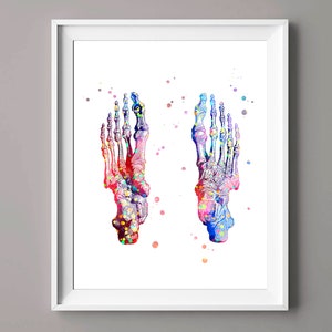 Watercolor Foot Anatomy Art Foot Bones Art Orthopedic Art Medical Art Science Art Skeletal System Poster Orthopedic Surgeon Gift Podiatry