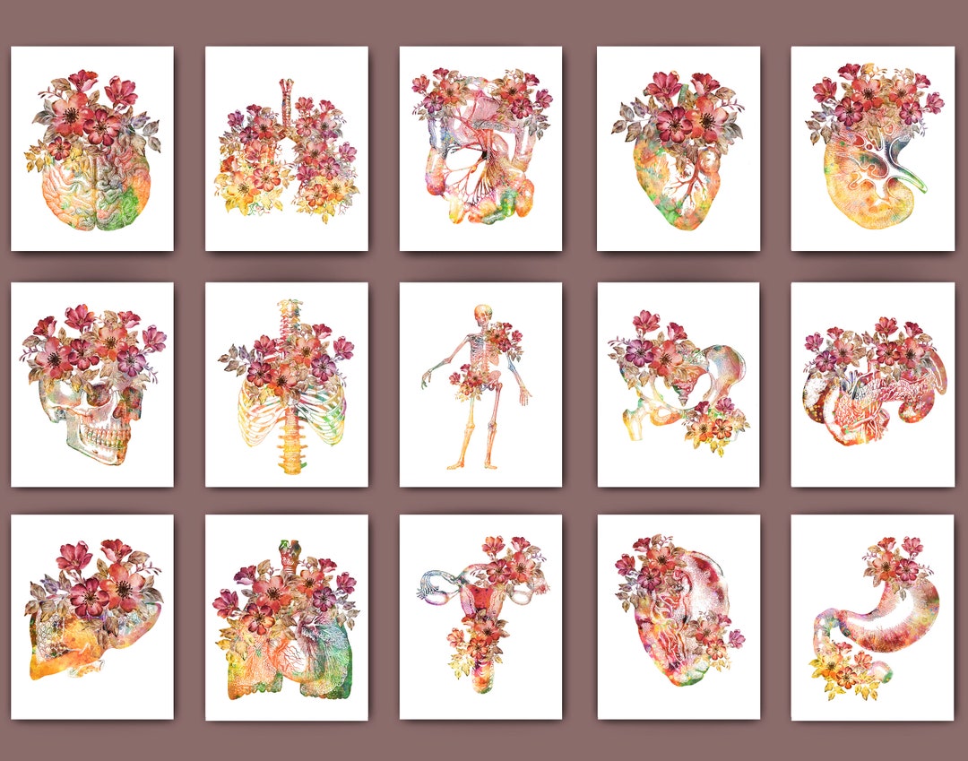 15 Floral Anatomy Art Physiology Art Medical Artwork Anatomical Heart