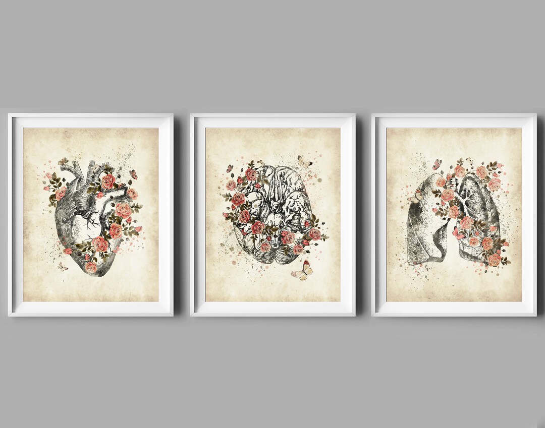 3 Antique Anatomy Poster Anatomical Illustration Vintage Medical Art ...
