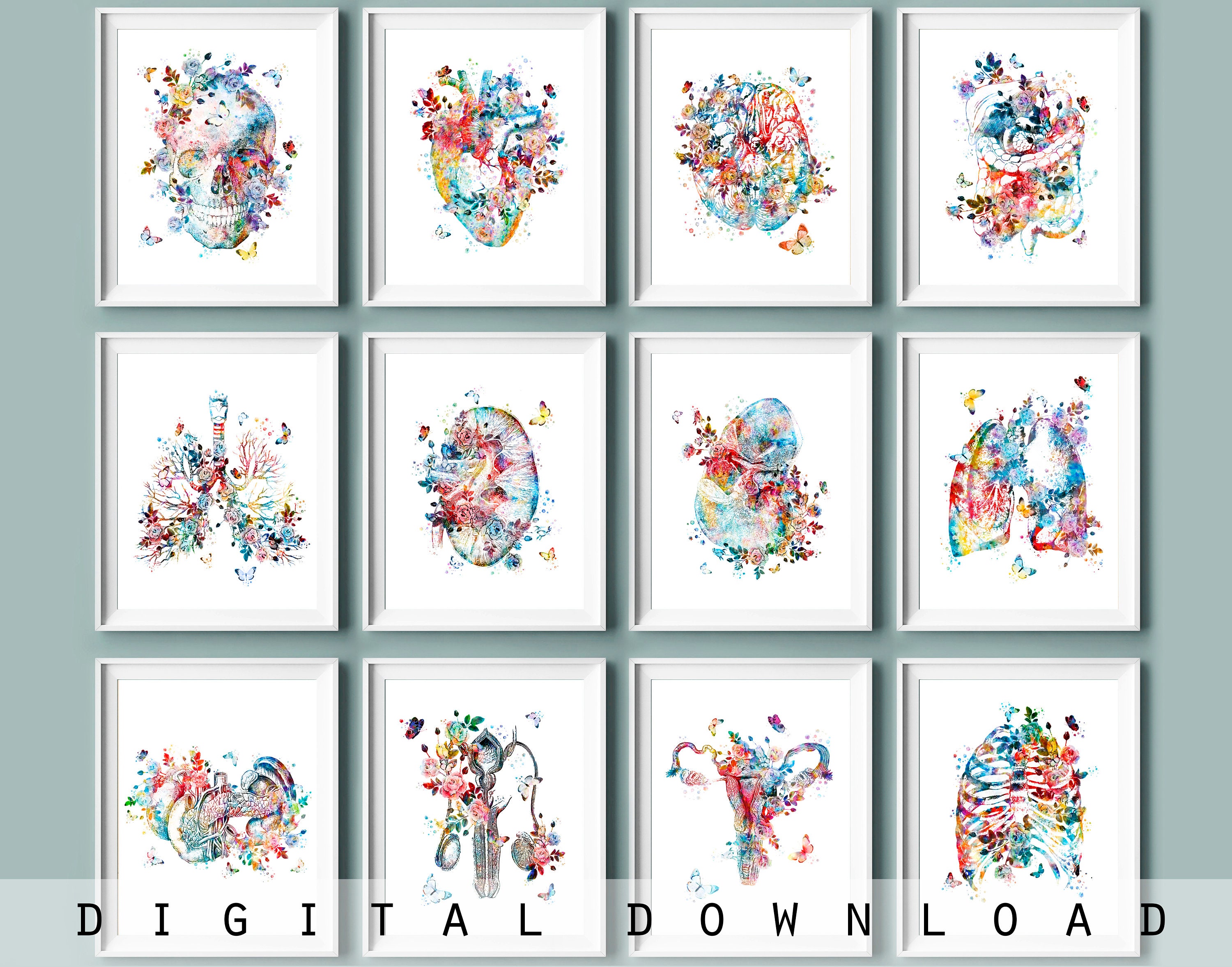 Set 12 aquarel anatomie decor bloemen orgel kunst medische kunst wetenschap kunst dokterspraktijk cadeau anatomisch hart hersenen longen nier kunstwerk