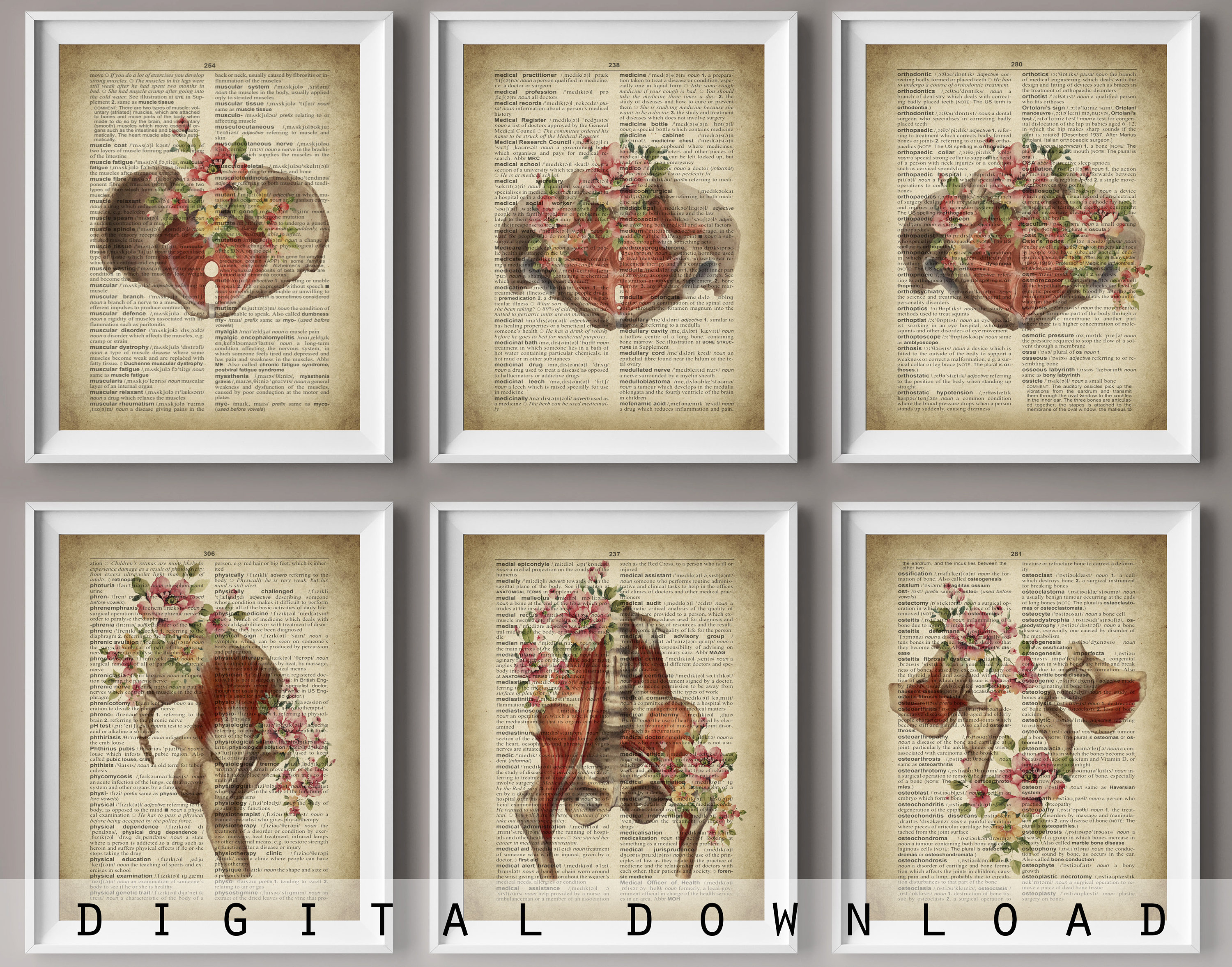 Vintage Pelvis Anatomy Art Print: Floral Dictionary Page (digital ...
