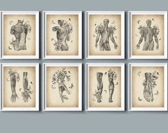 Vintage Anatomy Illustration Set: Muscle Art Prints (Digital Download)