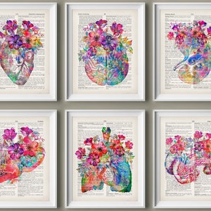 6 Colorful Anatomy Art Floral Medical Artwork Old Dictionary Page ...