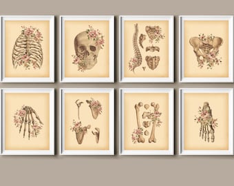 Vintage Skeletal Anatomy Art Prints: Floral Medical Decor (Set of 8) (Digital Download)