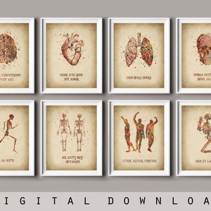 Antikes medizinisches Poster Set 8, lateinische Zitate, medizinische Zitate, Doktorabschluss, Klinik-Wanddekor, menschliche Anatomie, Wissenschaftskunst, Biologiekunst