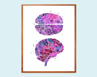 Watercolor Brain Anatomy Art Print: Neurology Gift (Digital Download)