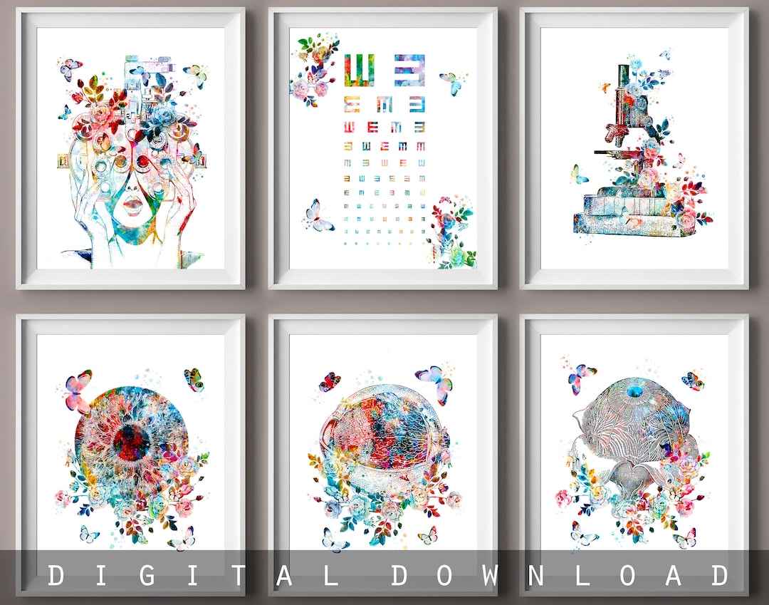 Optometry Poster Set 6, Ophthalmology Art, Eye Anatomy Decor ...
