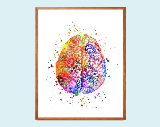 12 Anatomical Brain Posters Neurology Art Medical Decor Human Brain ...