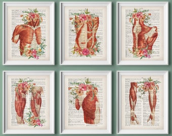 Floral Muscle Anatomy Art Prints: Physiology Decor (Digital Download)