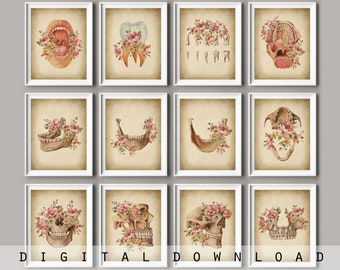 ヴィンテージ歯科解剖学アートプリント：歯科医院の装飾（12枚セット）（デジタルダウンロード）