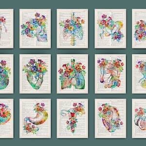 15 Watercolor anatomy art, Dictionary page, Floral anatomy drawing, Human anatomy poster, Human organs painting, Clinic wall art, Doctor art