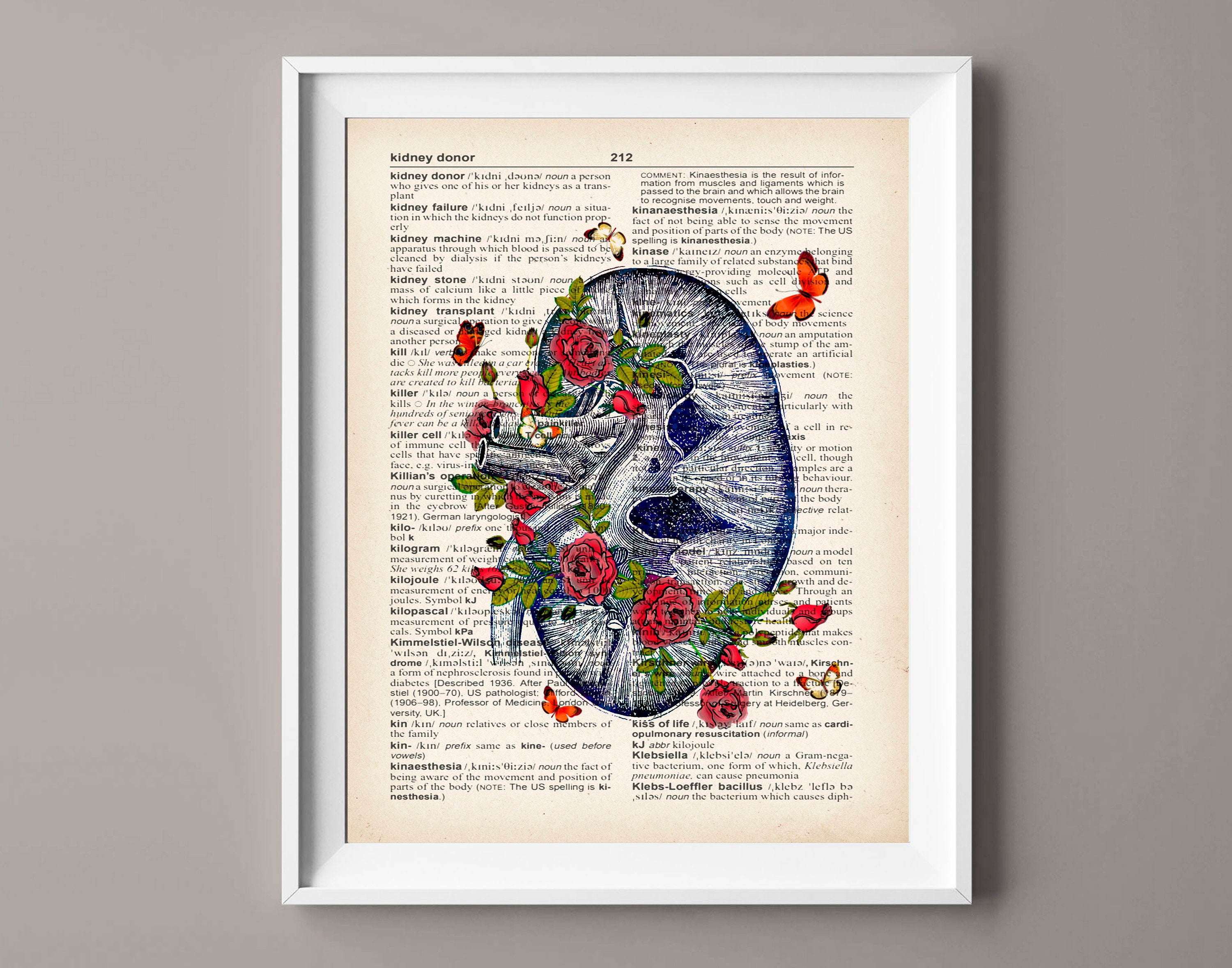 Rene e fiori umani Arte Anatomia Opera d'arte Nefrologia Arte Fisiologia Arte Medica Arte Murale Sistema urinario Arte Dizionario Arte Clinica Dono