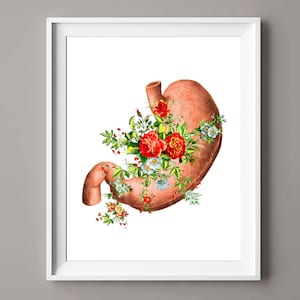 Floral Stomach Art Human Anatomy Art Medical Artwork Digestive System Art Gastroenterologist Gift Doctor Office Gift Clinic Wall Decor