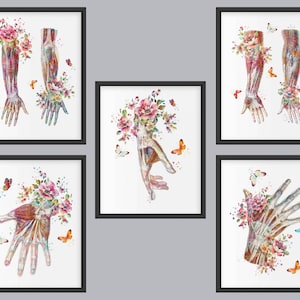 Hand Anatomy Art Print: Floral Arm Muscle Medical Poster