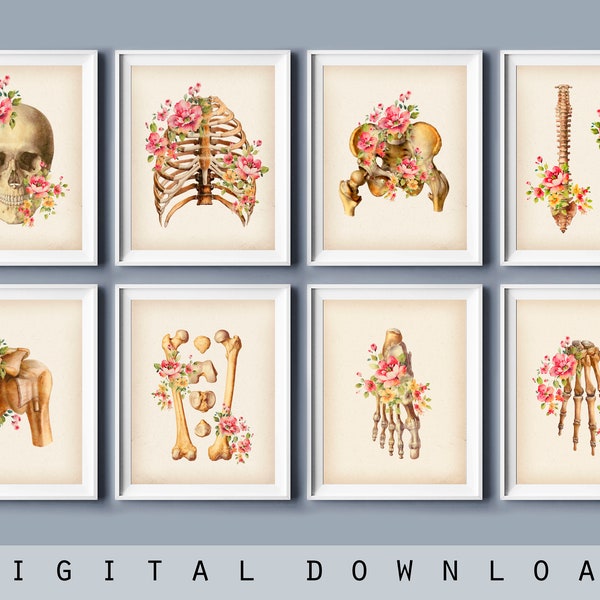Set 8 Vintage Skeletal Anatomy Art Orthopedic Doctor Gift Skeleton and Flowers Drawing Medical Decor Skeletal Bones Poster Orthopedist Gift