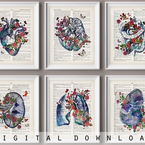 6 Vintage Human Organ Anatomy Art Floral Medical Art Dictionary Art Old Paper Drawing Anatomical Heart Kidney Lungs Brain Intestine Poster