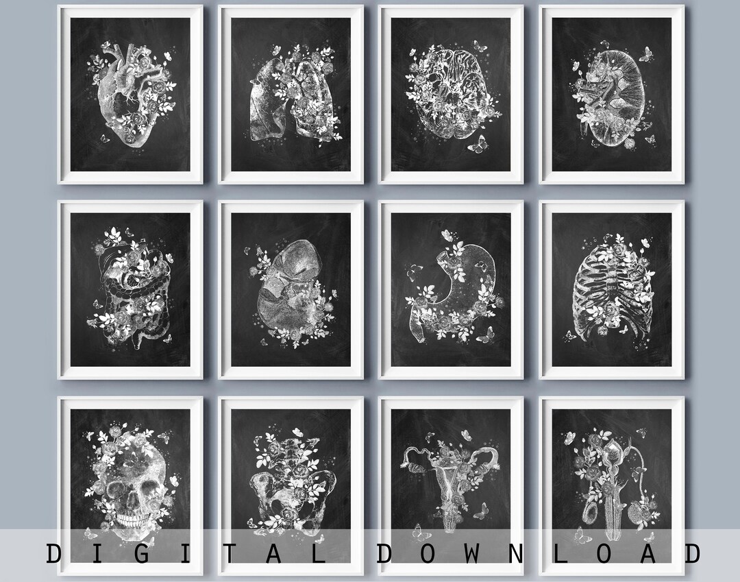 Anatomical Organs Art Print Set: Chalkboard Style, Medical Decor ...
