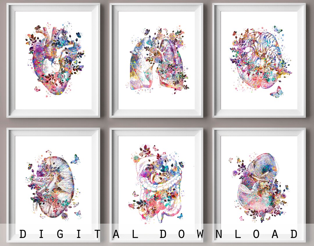 Watercolor Anatomy Art Prints: Floral Medical Decor Set (digital ...
