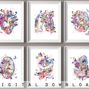 Set 6 Watercolor Anatomy Art Medical Decor Floral Heart Lungs Brain Kidney Liver Intestine Drawing Physical Therapist Gift Nurse Gift