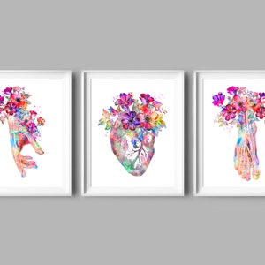 Anatomy watercolor art, Medical art, Doctor office decor, Clinic wall decor, Anatomy and flowers, Human heart, Hand anatomy, Foot anatomy