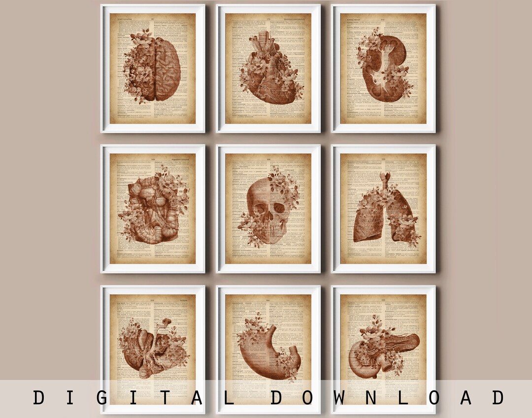 Vintage Anatomy Art Prints: Antique Dictionary Page Medical Decor ...
