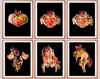 Pelvic Anatomy Art Prints: Floral Obgyn Decor (11x14)