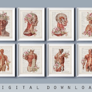 Set 8 Antique Anatomy Art Floral Art Physiology Art Physical Therapist Office Art Vintage Medical Artwork Dictionary Painting Massage Clinic