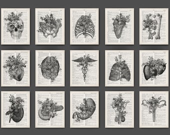 Set 15 Anatomy Artwork Black White Medical Art Dictionary Art Surgical Poster Anatomical Floral Organs Art Heart Art Brain Art Kidney Art