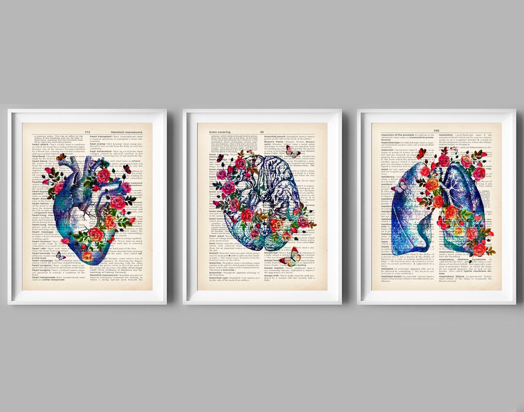 3 Vintage Anatomy Art, Dictionary Art, Anatomical Poster, Medical Decor ...