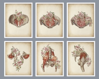 Floral Pelvis Anatomy Art Prints: Watercolor Pelvic Floor Decor (Digital Download)