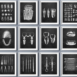 Set 12 Dental Art Dentist Office Gift Medical Artwork Dentist Instruments Painting Dental Anatomy Poster Teeth Braces Tooth Implant Wall Art