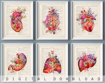 6 Watercolor Anatomy Art Medical Decor Anatomical Organ - Etsy