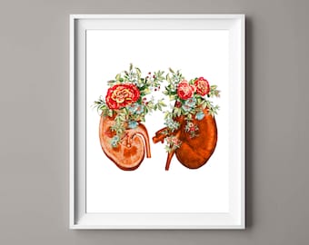 Kidneys and Flowers Art Anatomy Art Medical Artwork Nephrologist Gift Doctor Graduation Gift Nurse Gift Surgeon Gift