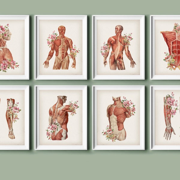 Set 8 Vintage Musculoskeletal Anatomy Art Massage Therapist Gift Medical Decor Surgeon Office Art Vintage Physiology Art Physical Therapist