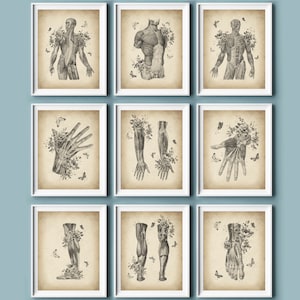 9 Human Anatomical Body and Flowers Art, Vintage Muscular System Poster Set, Anatomy Drawing, Anatomy Artwork, Massage Doctor Gift
