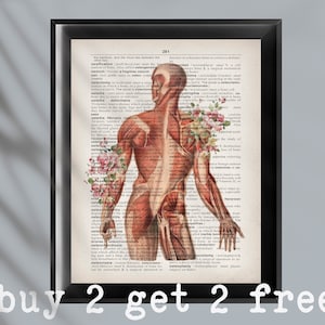 Vintage Anatomy Art Back Muscles Structure Poster Medical Artwork Dictionary Art Massage Clinic Decor Physiotherapist Gift Surgeon Gift