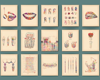 Vintage Dental Anatomy Art Prints: Dentist Office Decor (11x14)