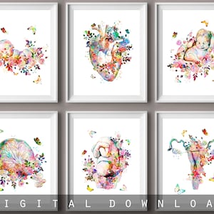 Säuglings-Fetalpositionen Poster Vintage weibliche Anatomie Kunst Antike Illustration OBGYN Print Schwangerschaft Kunst Geburtshilfe Kunst Hebamme Geschenk