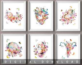 Fetal Position Vintage Anatomy Art Print: OBGYN Midwife Gift (Digital Download)